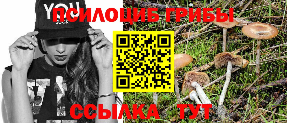 Псилоцибиновые грибы GOLDEN TEACHER Киселёвск