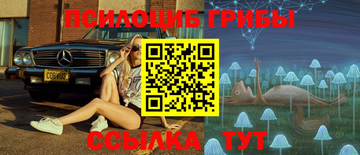 Галлюциногенные грибы прущие грибы  Вход с VPN  Киселёвск  Псилоцибиновые грибы MAGIC MUSHROOMS 